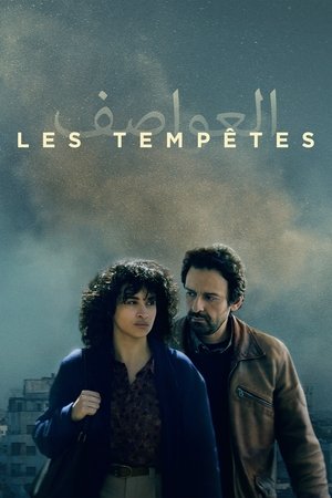 Тихие бури (фильм, 2024)