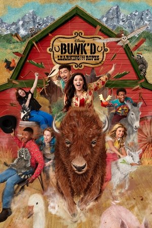 Летний лагерь (сериал, 2015)