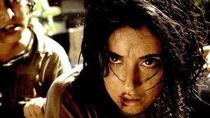 Месть обманутой женщины (фильм, 2004)