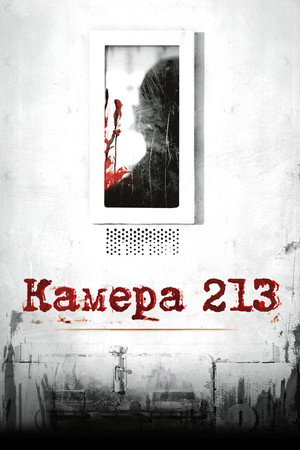 Камера 213 (фильм, 2011)