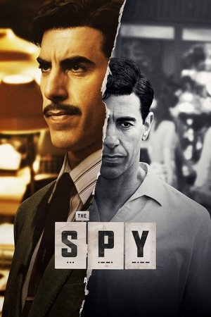 Шпион (сериал, 2019)