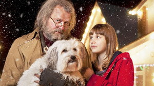 Мистер Вонючка (фильм, 2012)