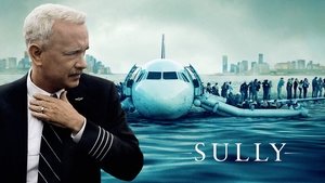 Чудо на Гудзоне (фильм, 2016)
