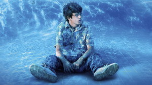 Дорога, дорога домой (фильм, 2013)
