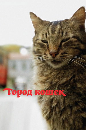 Город кошек (фильм, 2016)