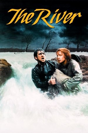 Река (фильм, 1984)
