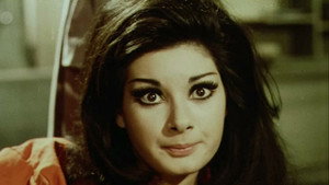 Мужчина с золотой кистью (фильм, 1969)