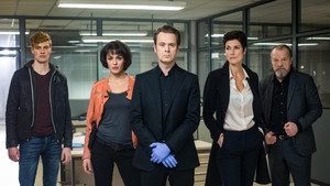 Профессор Т. (сериал, 2017)