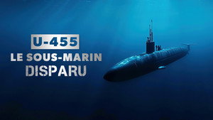 U-455. Тайна пропавшей субмарины (фильм, 2013)