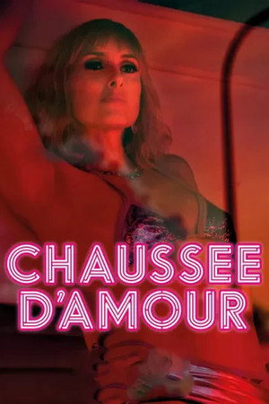Кошечки Сильвии (сериал, 2016)