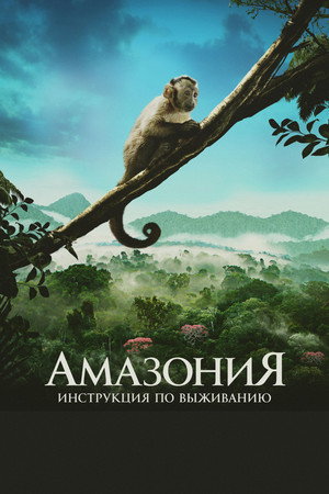 Амазония: Инструкция по выживанию (фильм, 2013)