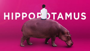 Гиппопотам (фильм, 2018)