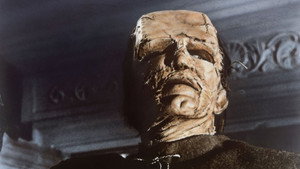Грех Франкенштейна (фильм, 1964)
