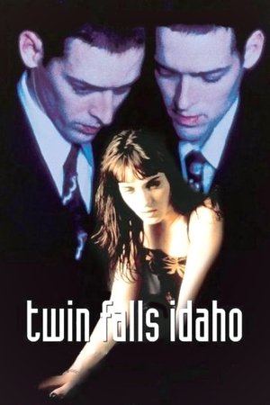 Близнецы из Айдахо (фильм, 1999)