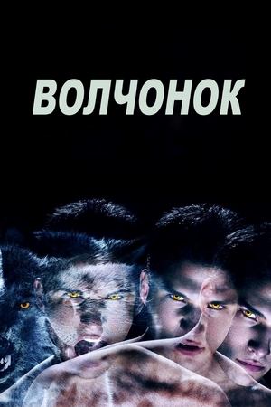 Волчонок (сериал, 2011)