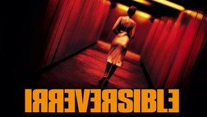 Необратимость (фильм, 2002)