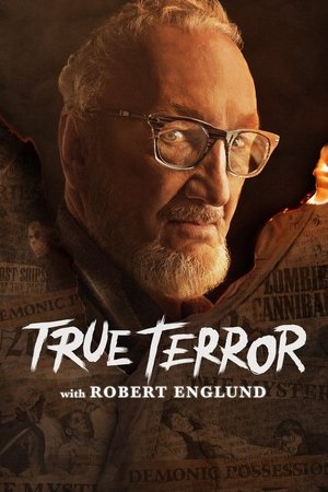 Тени истории (сериал, 2020)