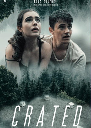В заточении (фильм, 2020)