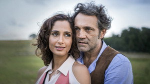 Старик Шику (сериал, 2016)