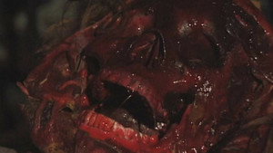 Трупный червь (фильм, 2004)