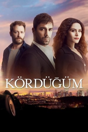 Узел (сериал, 2016)