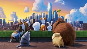 Тайная жизнь домашних животных (мультфильм, 2016)