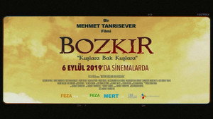Посмотри на птиц (фильм, 2019)