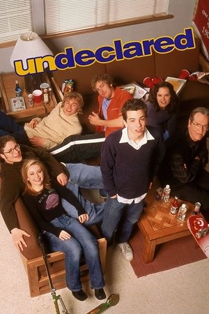 Неопределившиеся (сериал, 2001)
