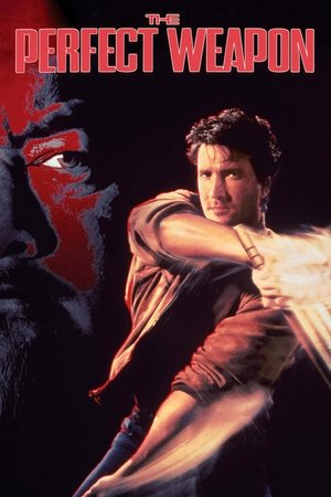 Совершенное оружие (фильм, 1991)