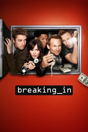Лучшая охрана (сериал, 2011)