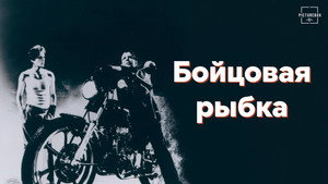 Бойцовая рыбка (фильм, 1983)