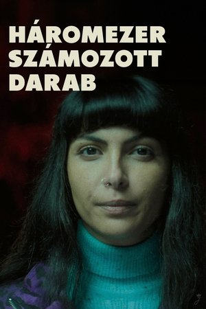 Три тысячи пронумерованных деталей (фильм, 2022)
