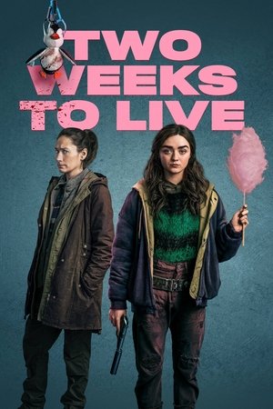 Успеть за две недели (сериал, 2020)
