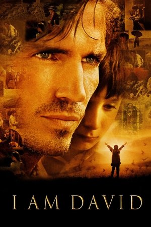Меня зовут Дэвид (фильм, 2003)