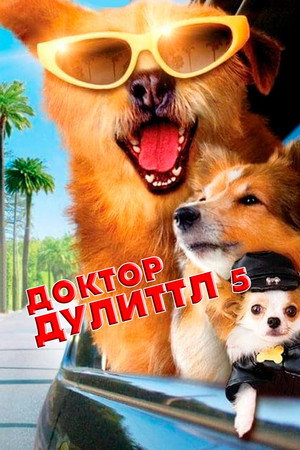 Доктор Дулиттл 5 (фильм, 2008)
