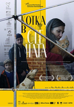 Кот в стене (фильм, 2019)