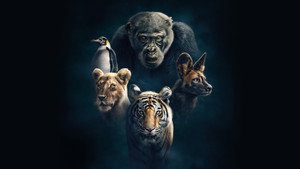 Династии (сериал, 2018)