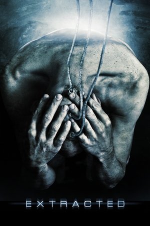 Извлечение (фильм, 2012)