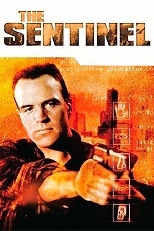 Часовой (сериал, 1996)