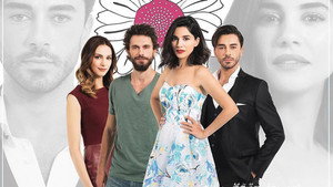 Любит не любит (сериал, 2016)