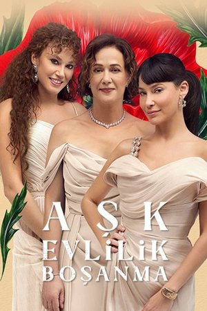 Любовь, брак, развод (сериал, 2024)
