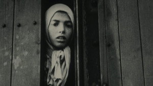 Ночь и туман (фильм, 1956)