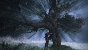 Голос луны (фильм, 1990)