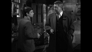 Бродячие собаки без ошейников (фильм, 1955)