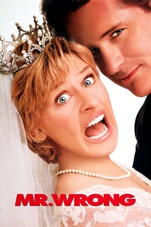 Господин Ошибка (фильм, 1996)