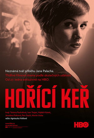 Неопалимая купина (сериал, 2013)