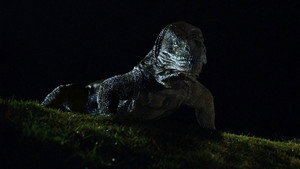 Комодо. Остров ужаса (фильм, 1999)