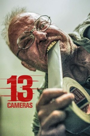 Тринадцать камер (фильм, 2015)