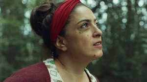 Настройщики деревьев (фильм, 2019)