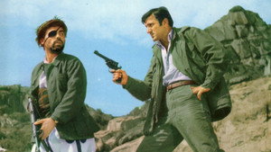 Брат доктора Гомера (фильм, 1968)